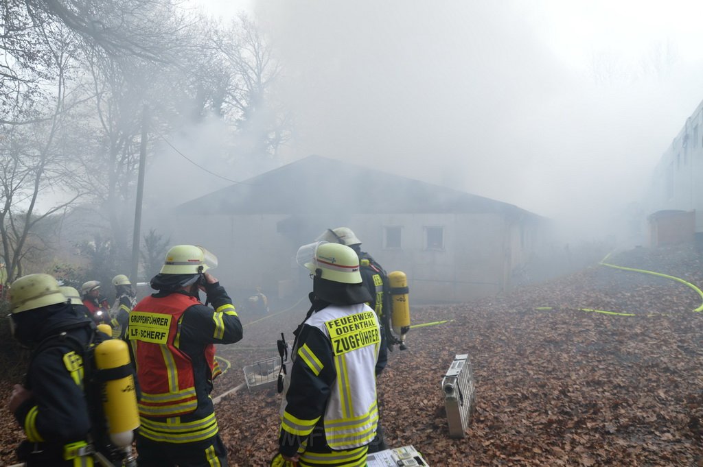 Feuer Asylantenheim Odenthal Im Schwarzenbroich P16.JPG - MIRKO_WOLF